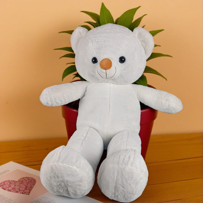 Cuddle Cloud| Teddy Bear | 3 Colors| Scented